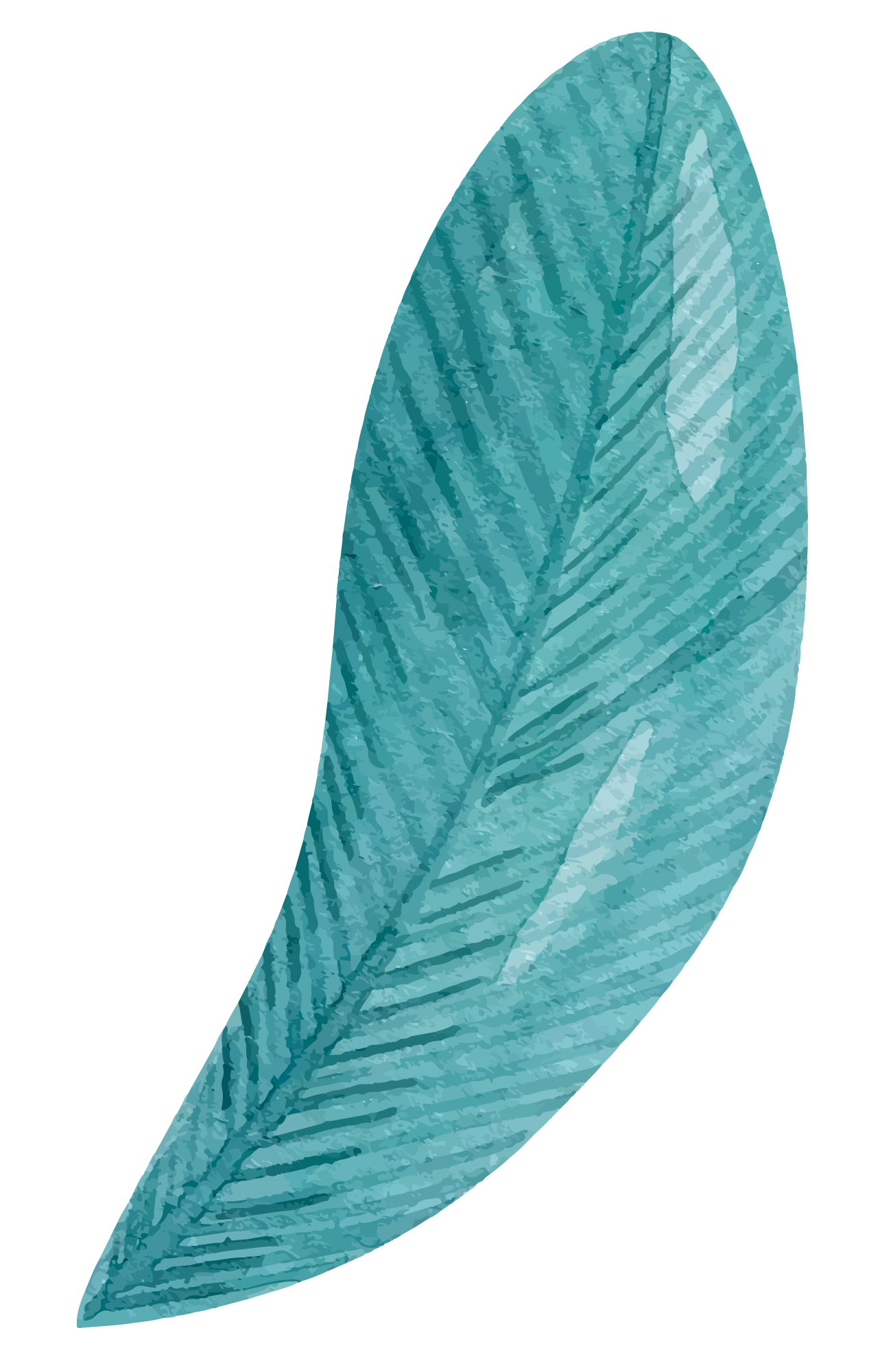 Preview for Teal-leaf-illustration-watercolor-christmas-sticker-7e173