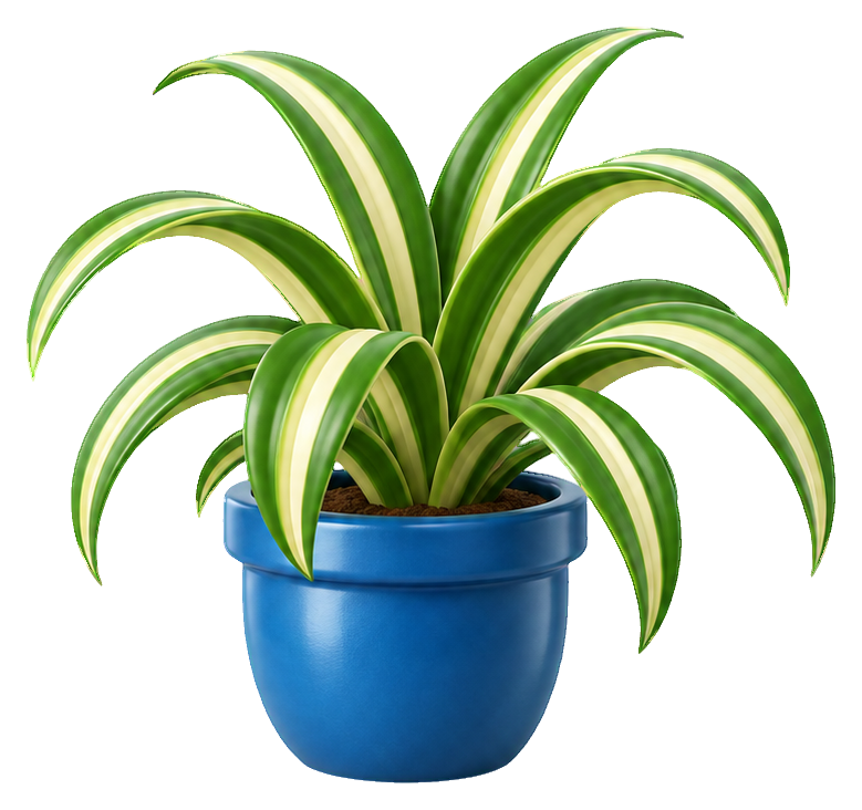 Preview for 3d Houseplants Spider Plant