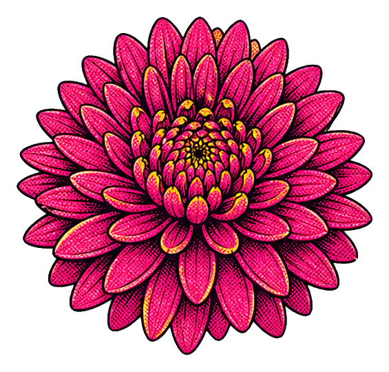Preview for Retro Magenta Chrysanthemum Sticker