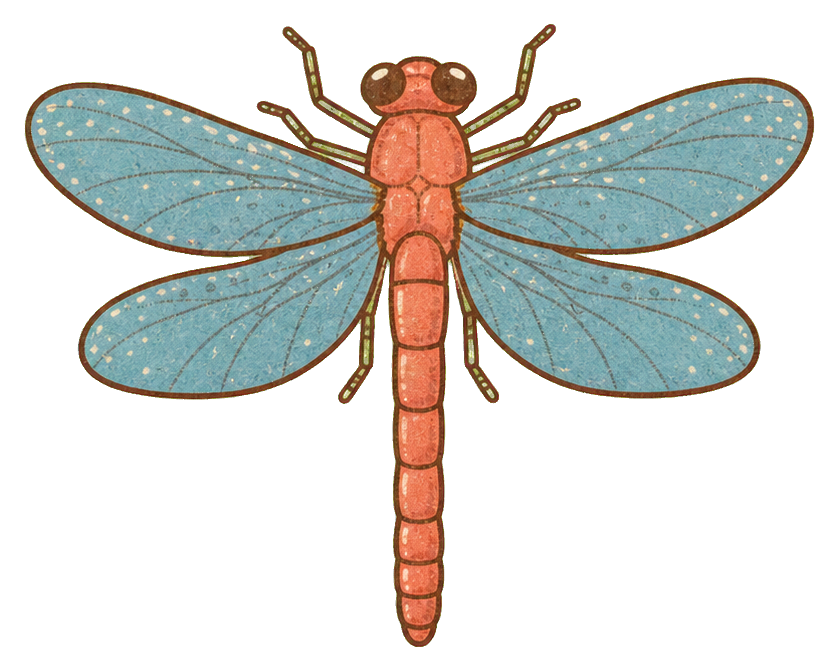 Coral dragonfly with four dusty blue wings on a transparent background