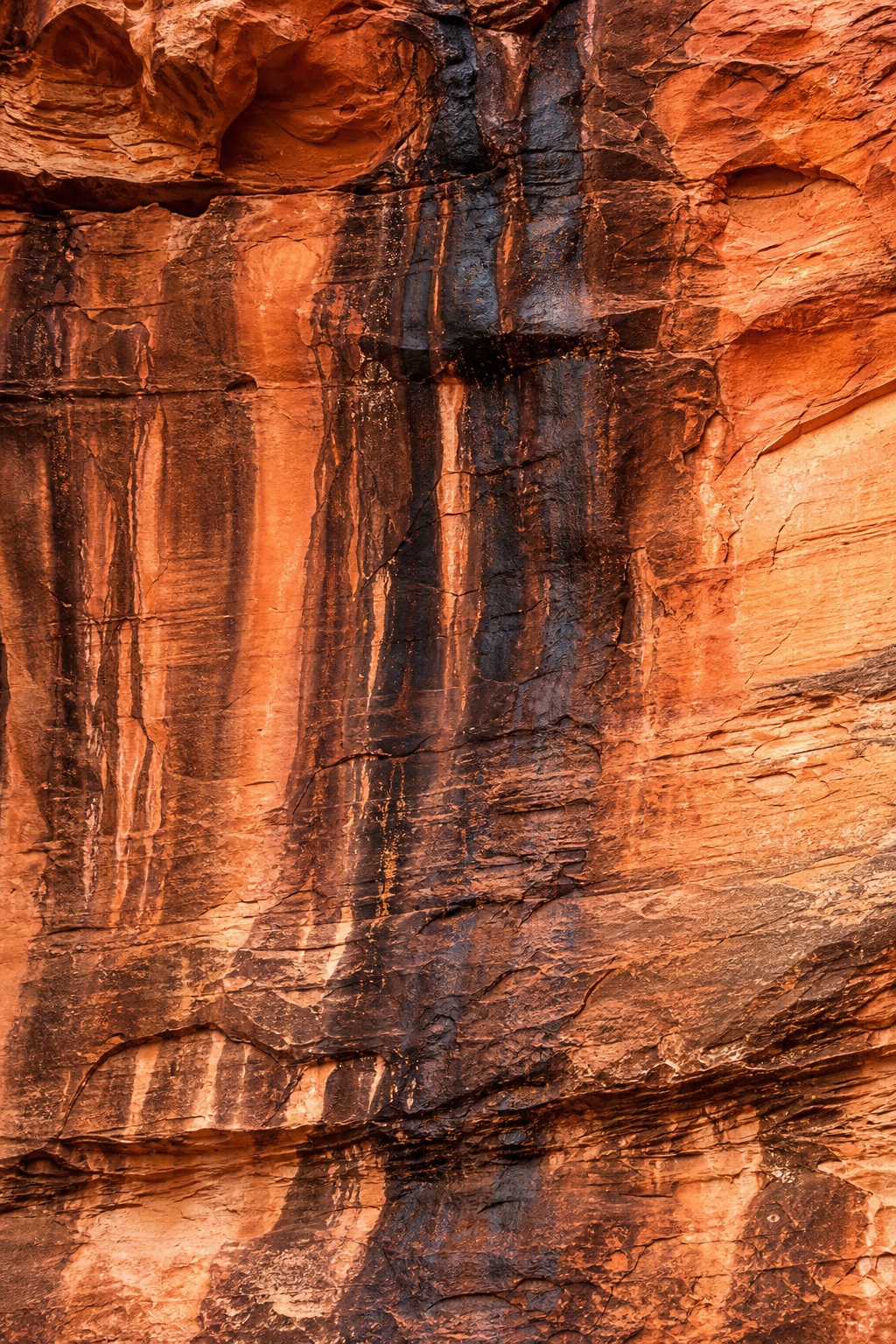 Weathered orange sandstone cliff with dark vertical streaks and layered canyon texture