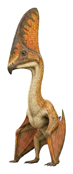 Realistic Tapejara pterosaur with tall sail-like crest standing upright