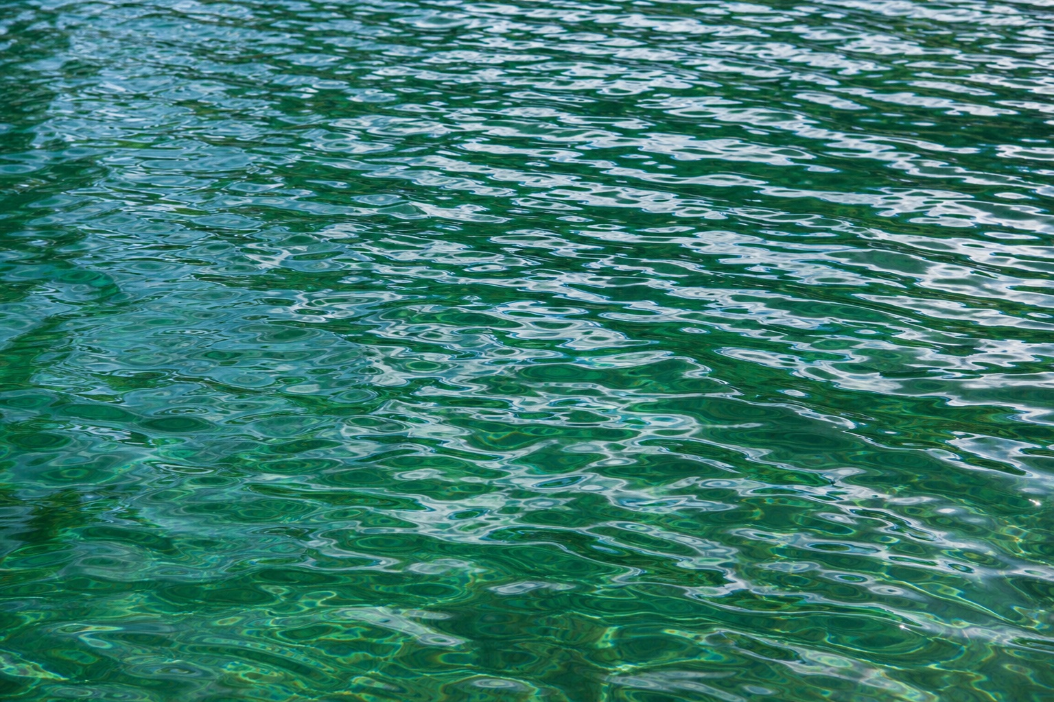 Preview for Green Water Ripple Background