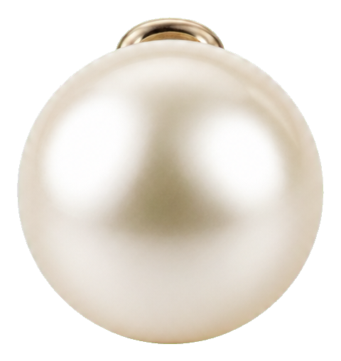 Preview for Ivory Pearl Shank Button Sticker