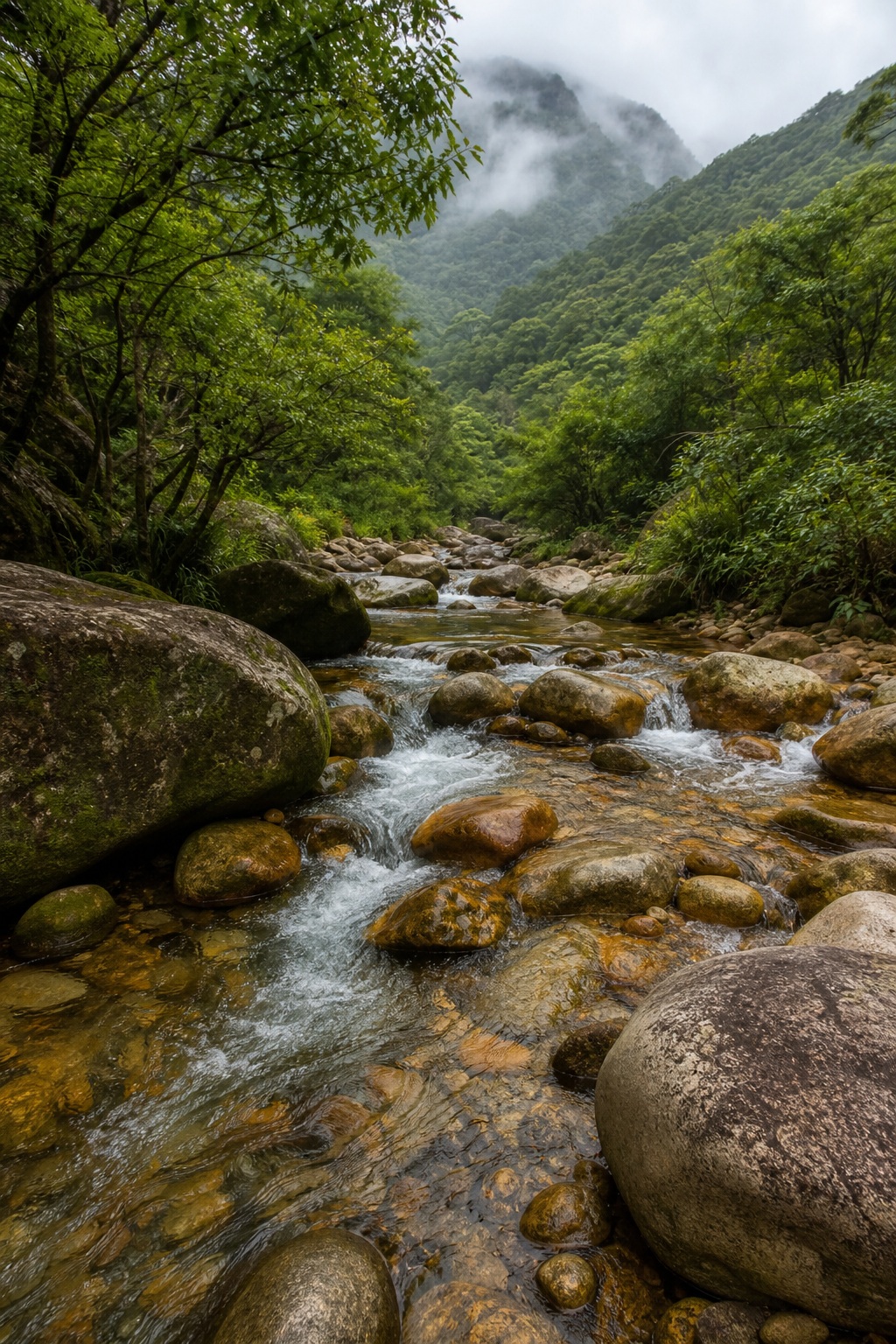 Preview for Mountain Stream Forest Background