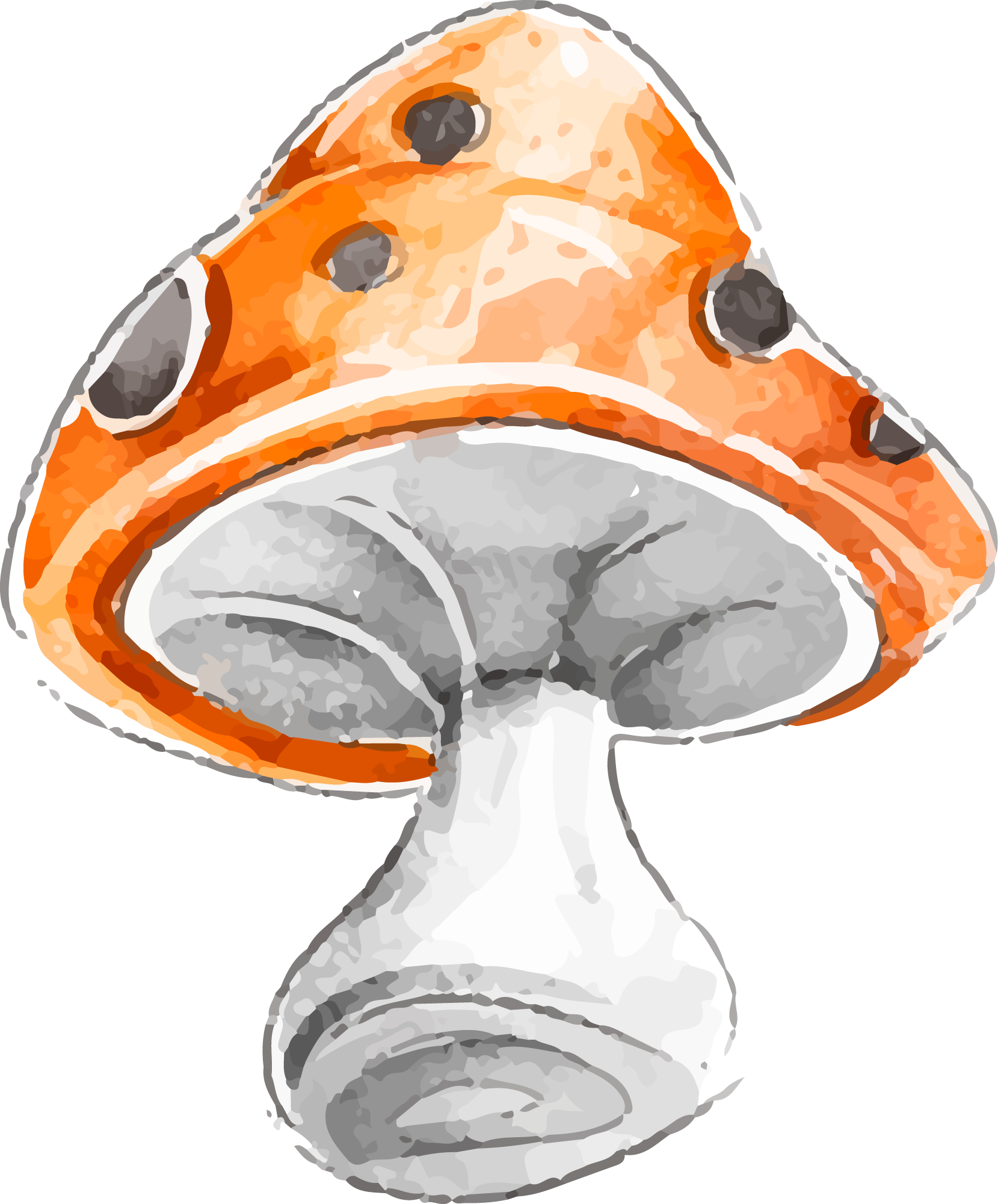 Preview for Orange-mushroom-watercolor-illustration-halloween-watercolor-sti-90f24