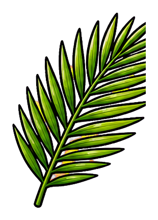 Single green palm frond with long narrow leaves on a black background