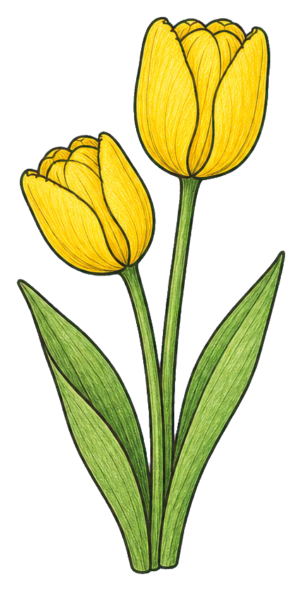 Preview for Yellow Tulip Pair Sticker