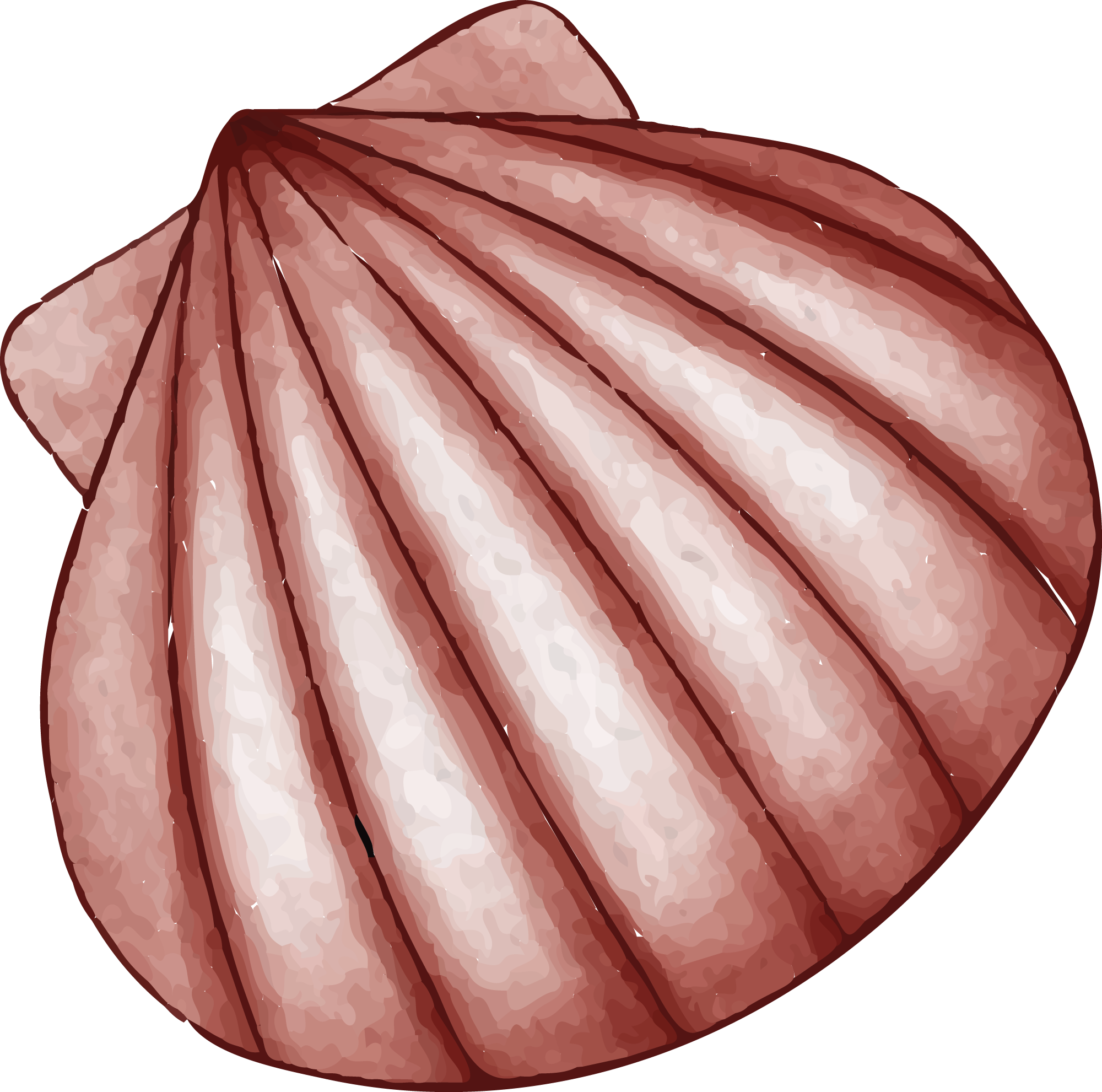 Preview for Red-scallop-shell-illustration-summer-watercolor-sticker-7af76