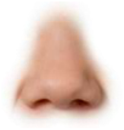 Preview for Glitch-nose-art-noses-sticker-4bfce