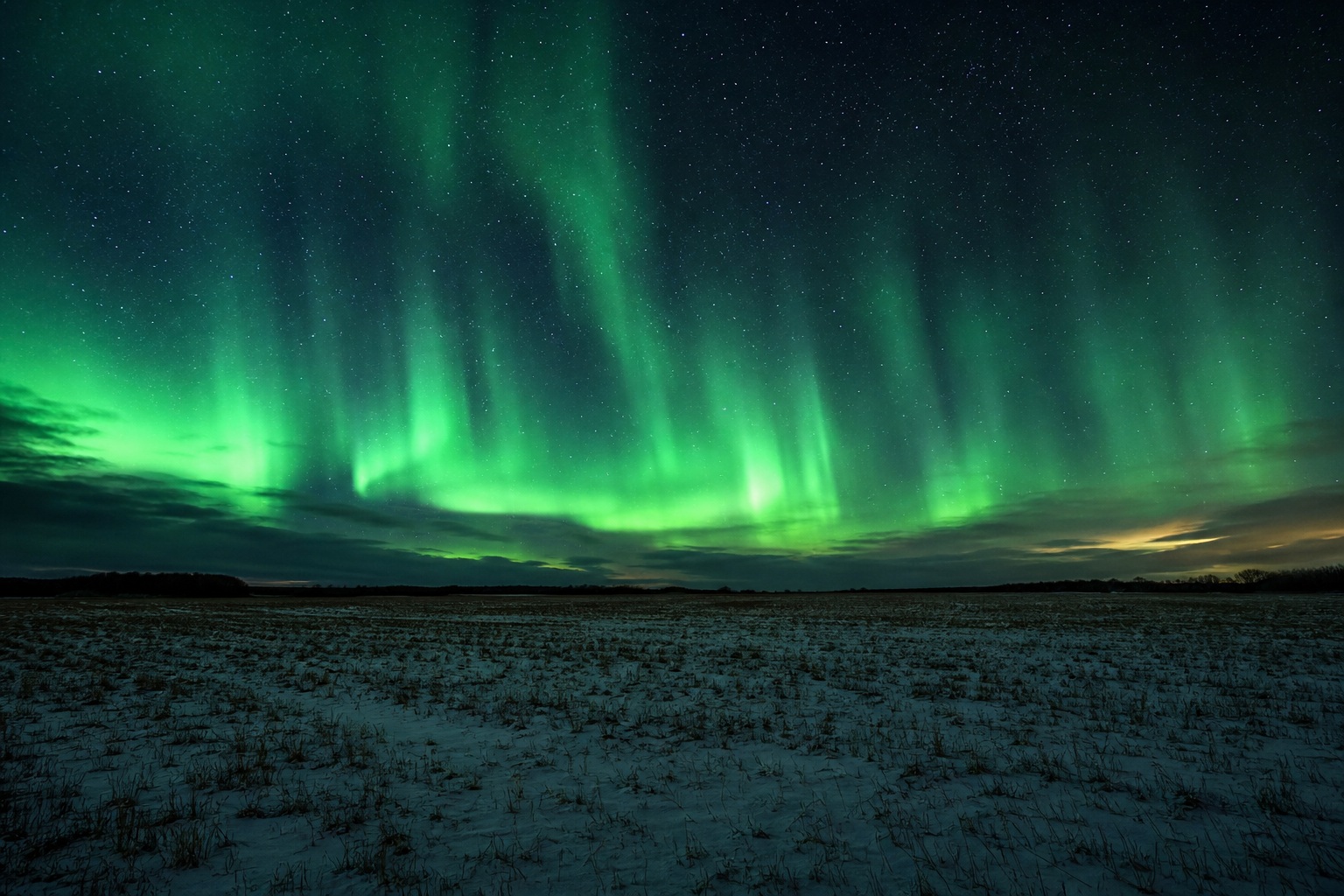 Preview for Aurora Night Sky Field Background