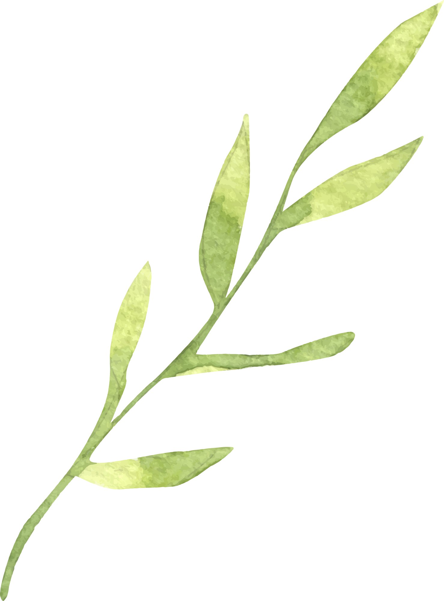 Preview for Watercolor-green-leaves-illustration-spring-sticker-49c45