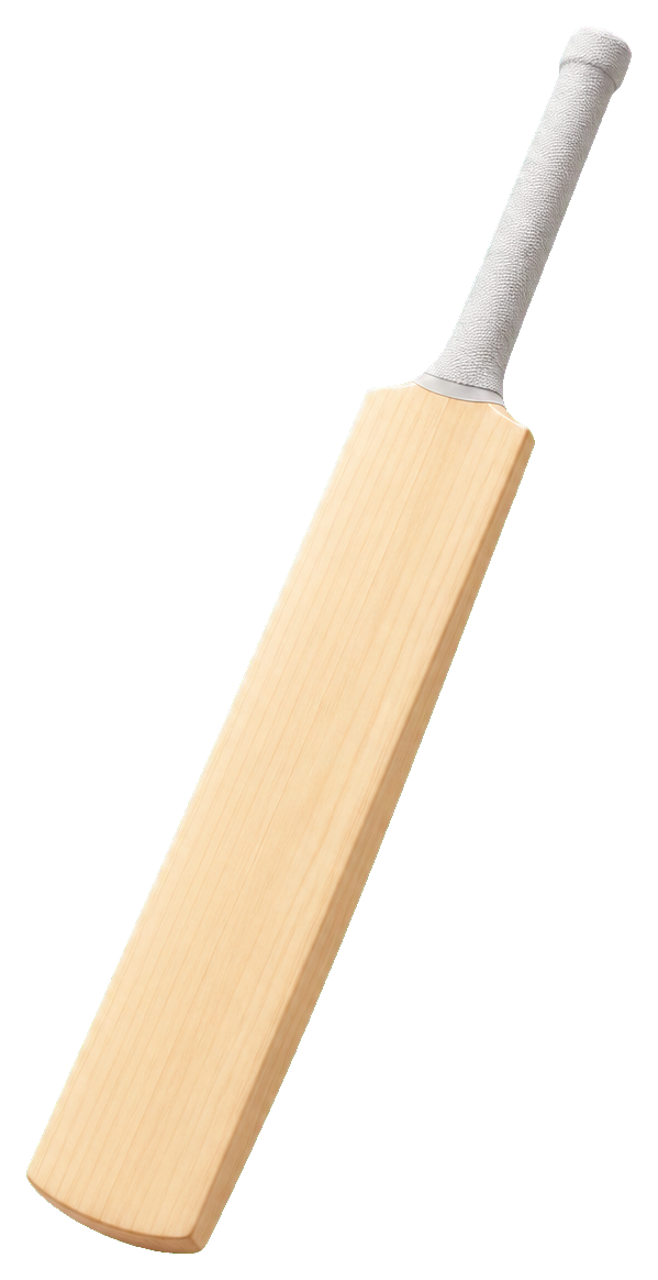 Plain wooden cricket bat with a light handle and simple blade