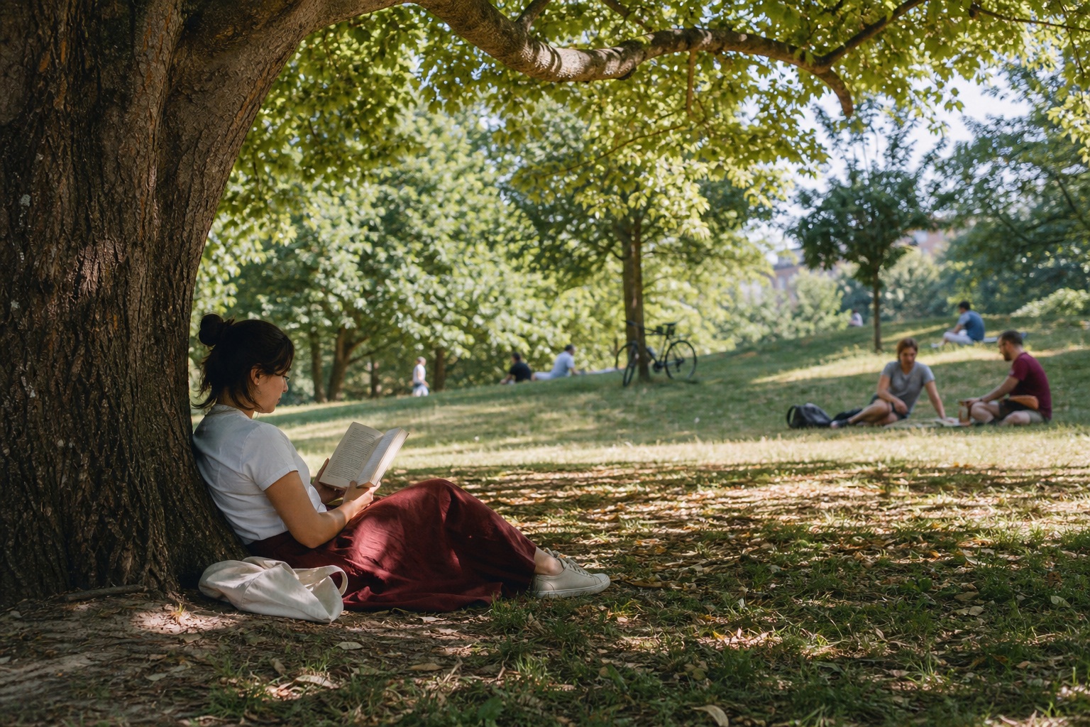 Preview for Public Park Reader Background