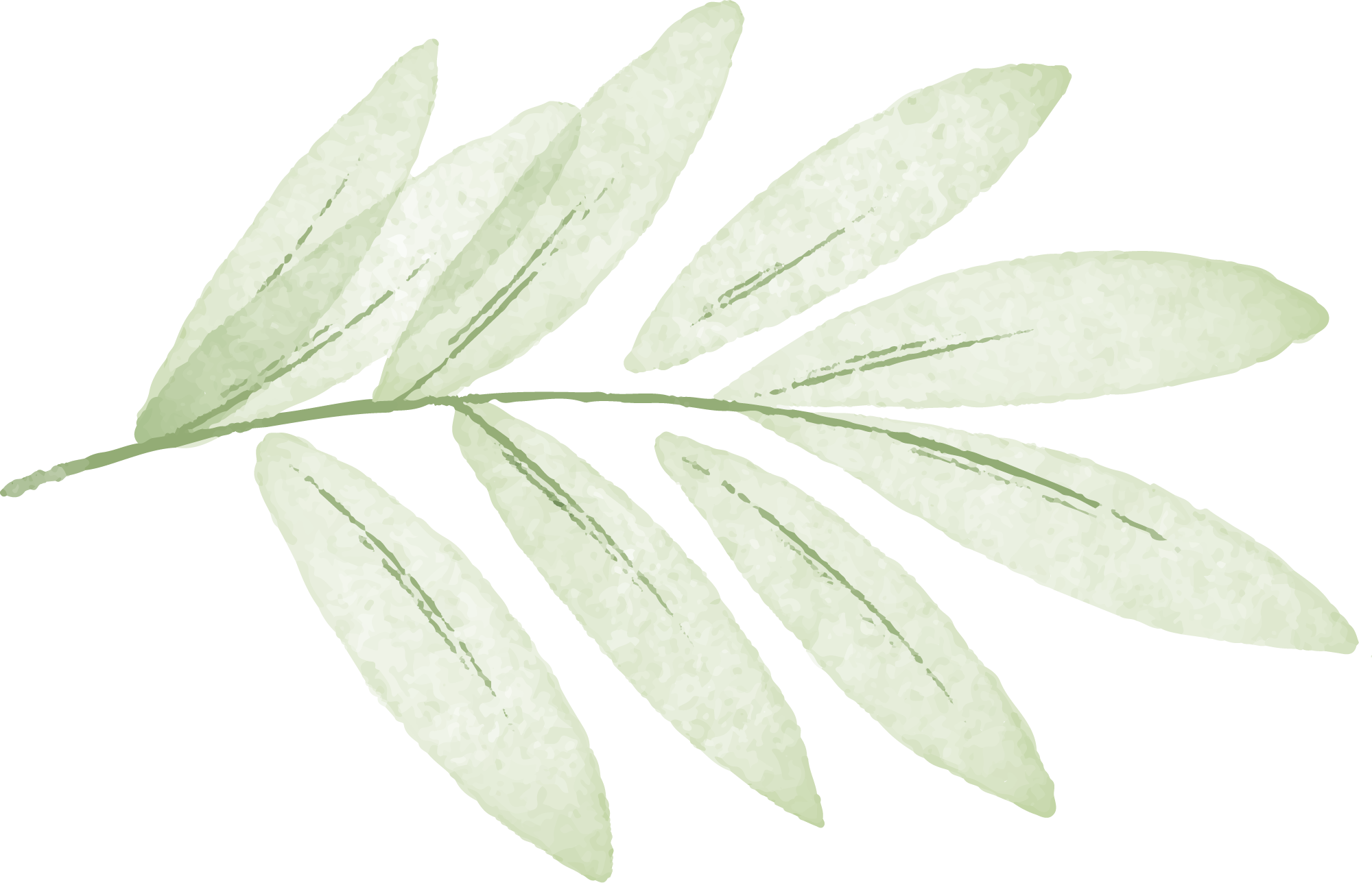 Preview for Olive-branch-illustration-spring-sticker-4775f