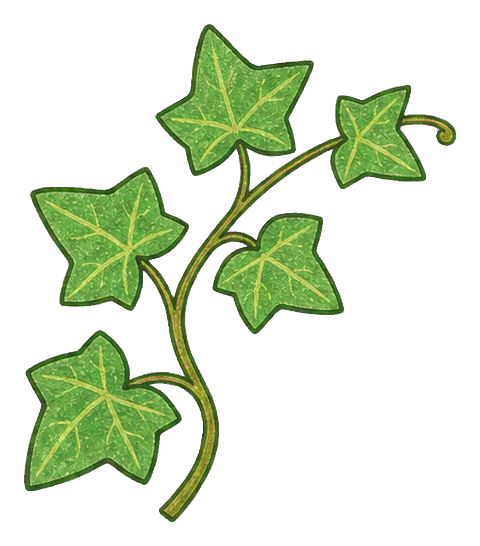 Preview for Climbing Ivy Vine Sticker