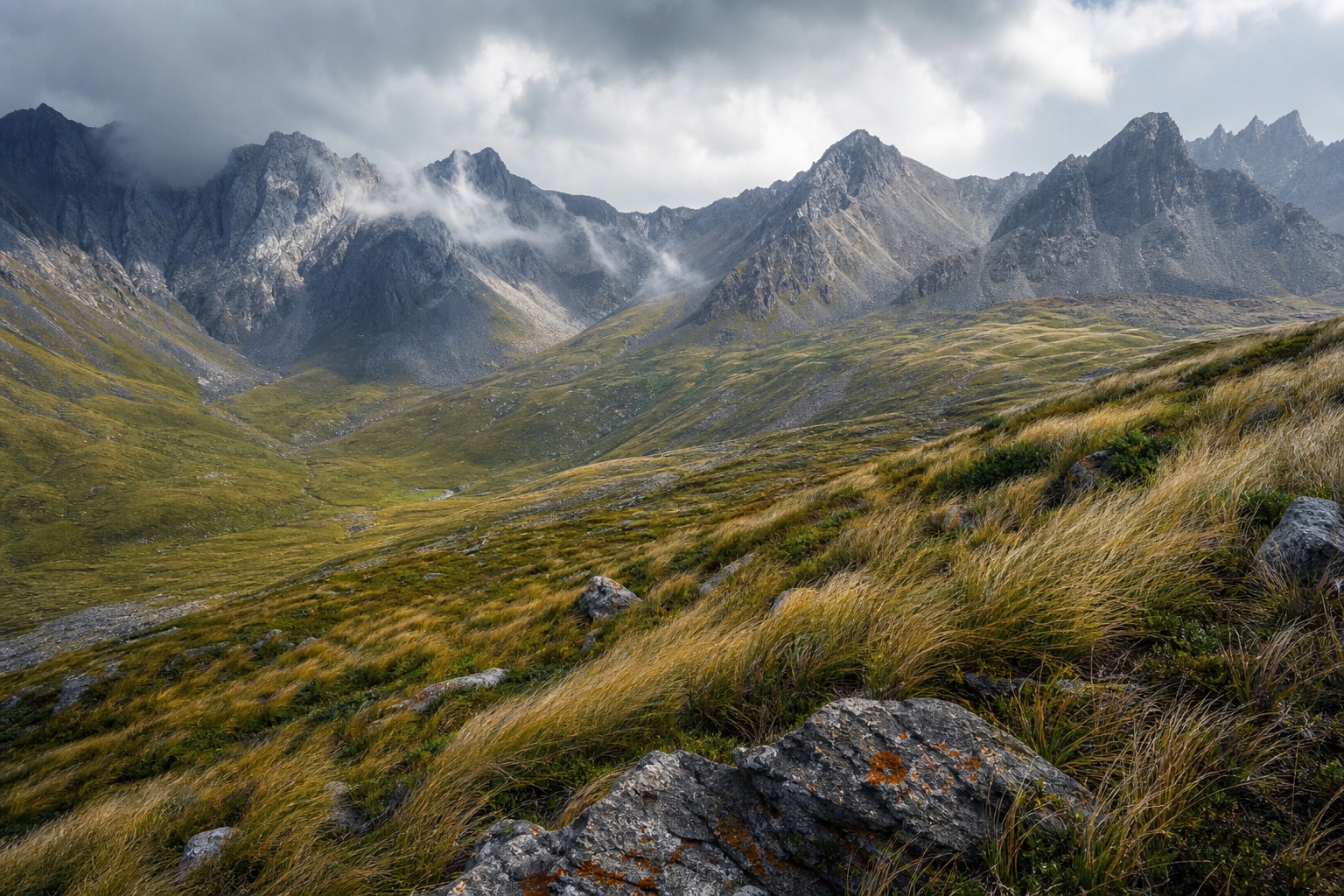 Preview for Wind-shaped Alpine Grassland Mountain Background