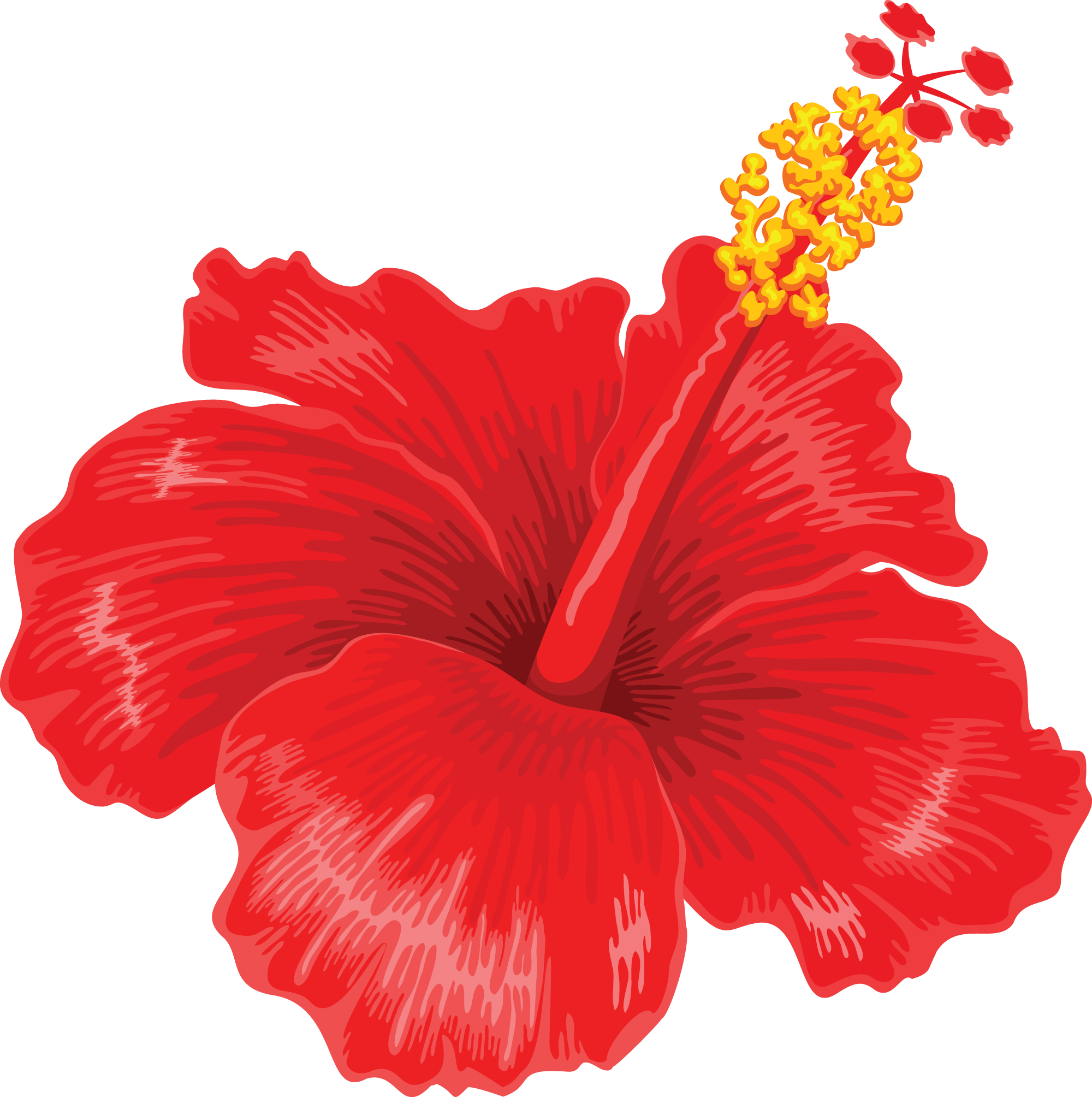 Preview for Red-hibiscus-flower-summer-sticker-85522