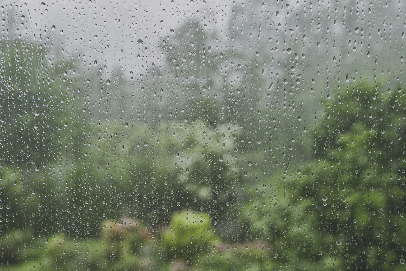 Rain drops on a window with blurred greenery and soft bokeh outside