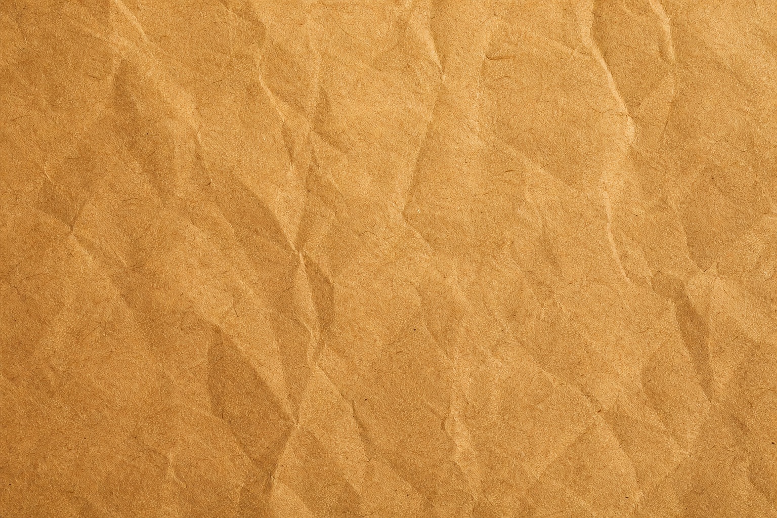 Preview for Kraft Paper Fibers Background