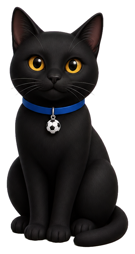 Preview for Soccer Cat Sticker