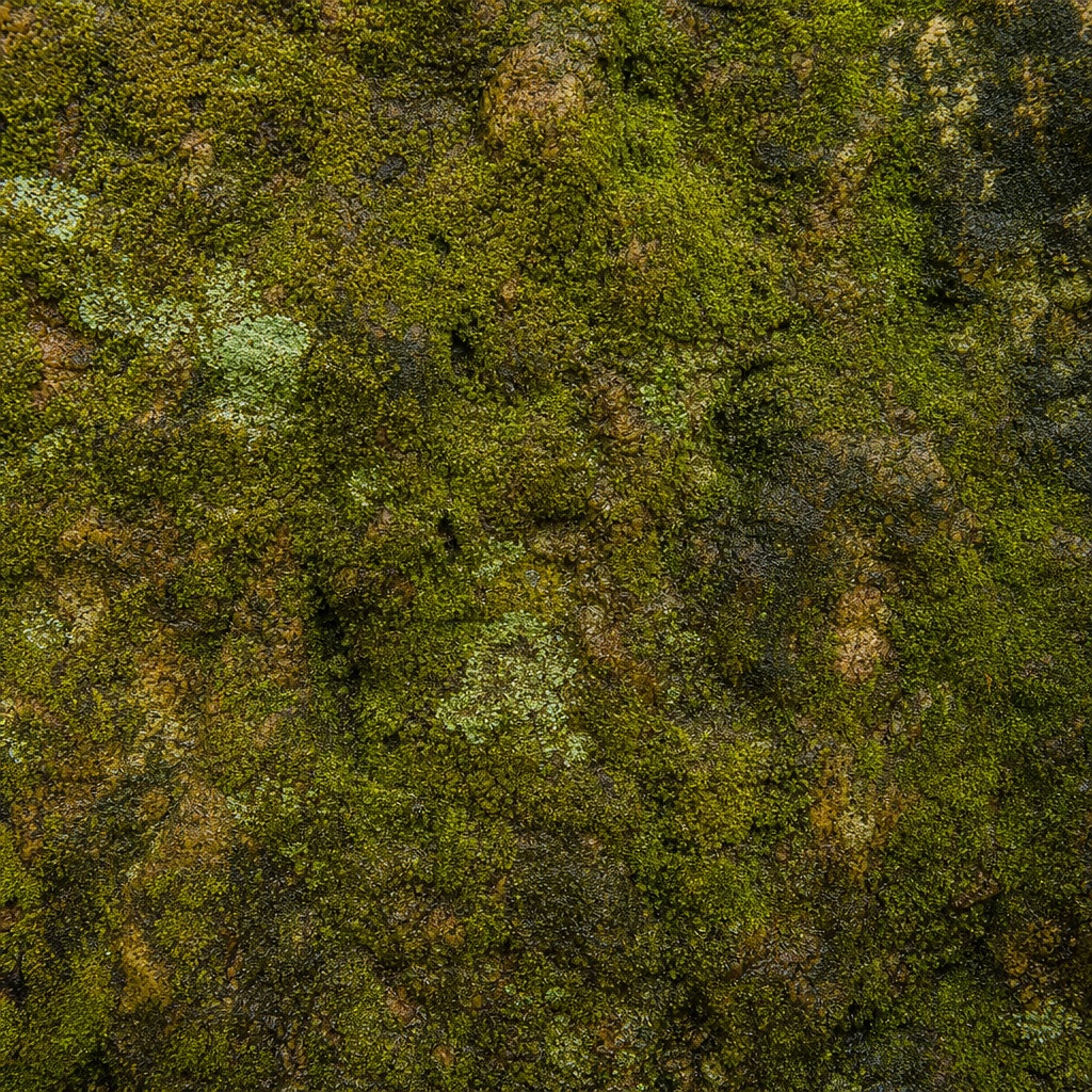 Preview for Moss Covered Stone Background