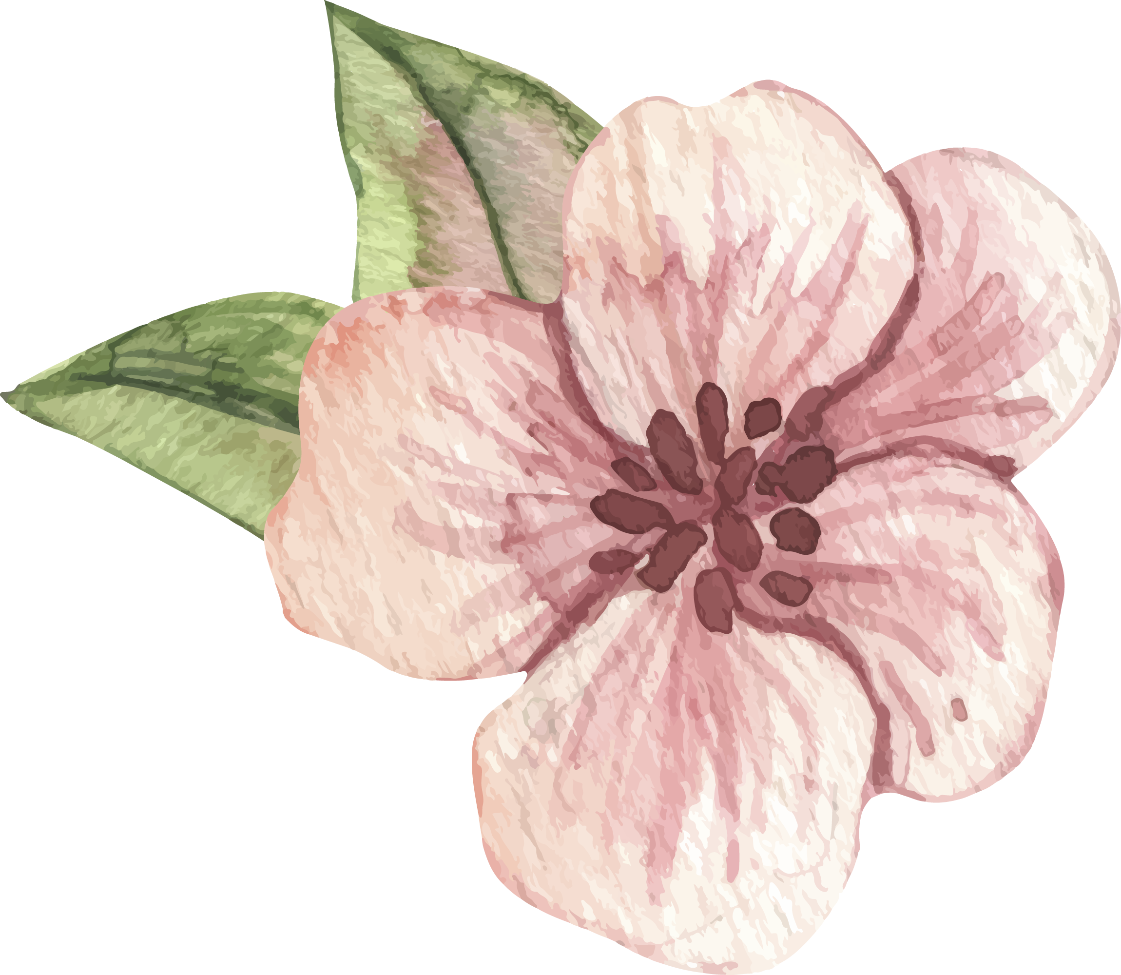 Preview for Pink-flower-illustration-spring-sticker-bfe0a