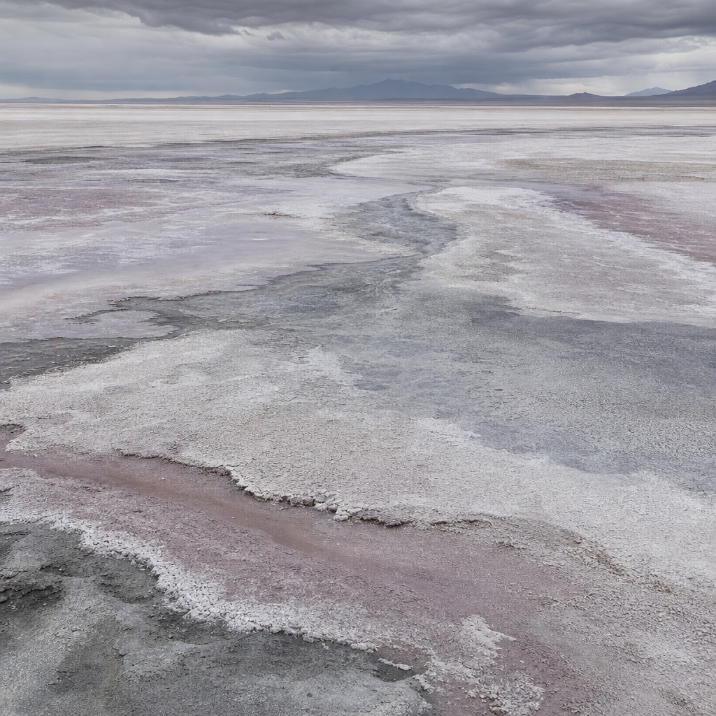 Wide salt flat landscape with pale gray and clay-colored mineral patterns under cloudy sky.