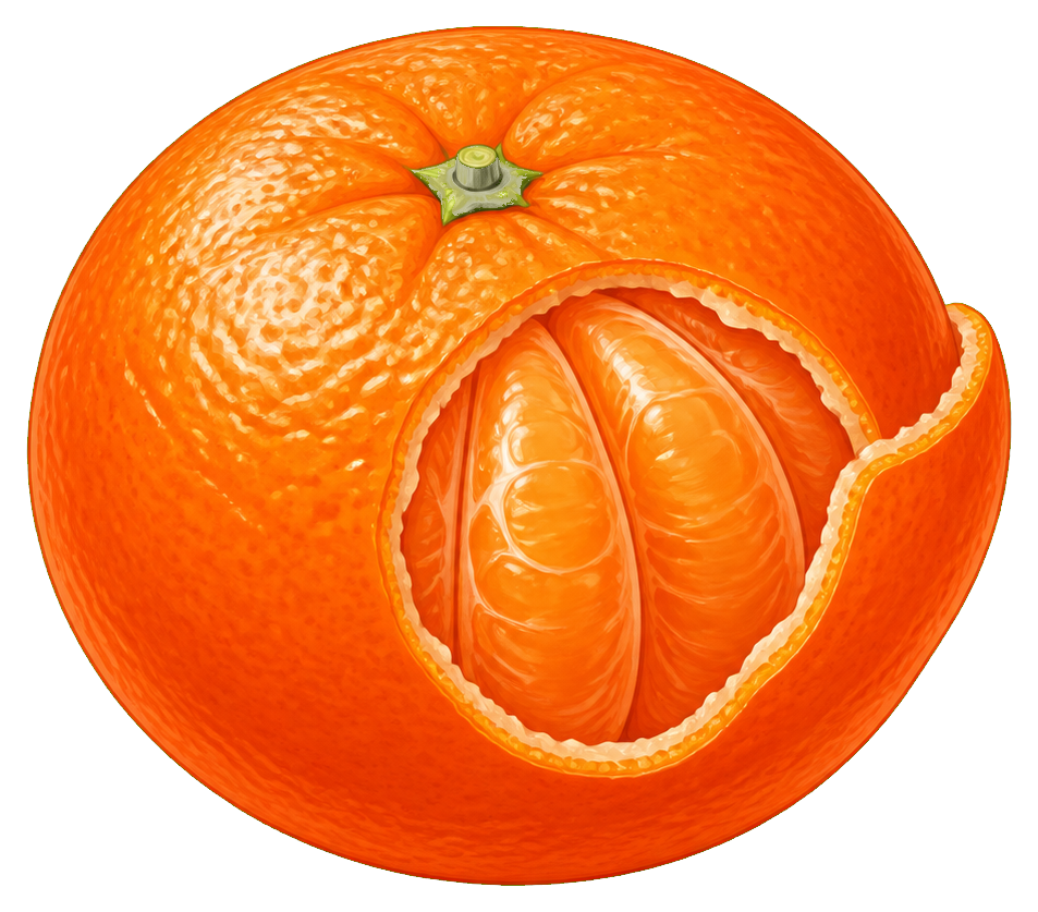 Preview for Tangerine Sticker Graphic For Designs
