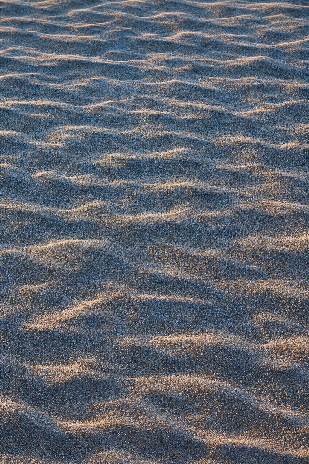 Preview for Blue Hour Sand Texture Stock Background