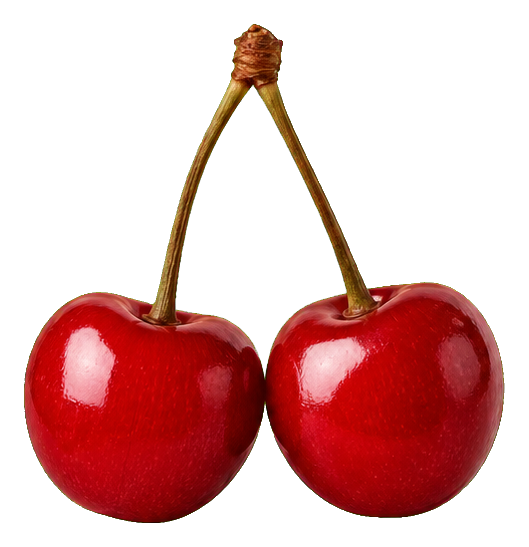 Preview for Cherry Pair Sticker