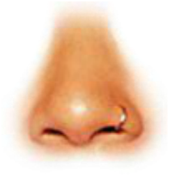 Preview for Nose-ring-closeup-noses-sticker-fadc9