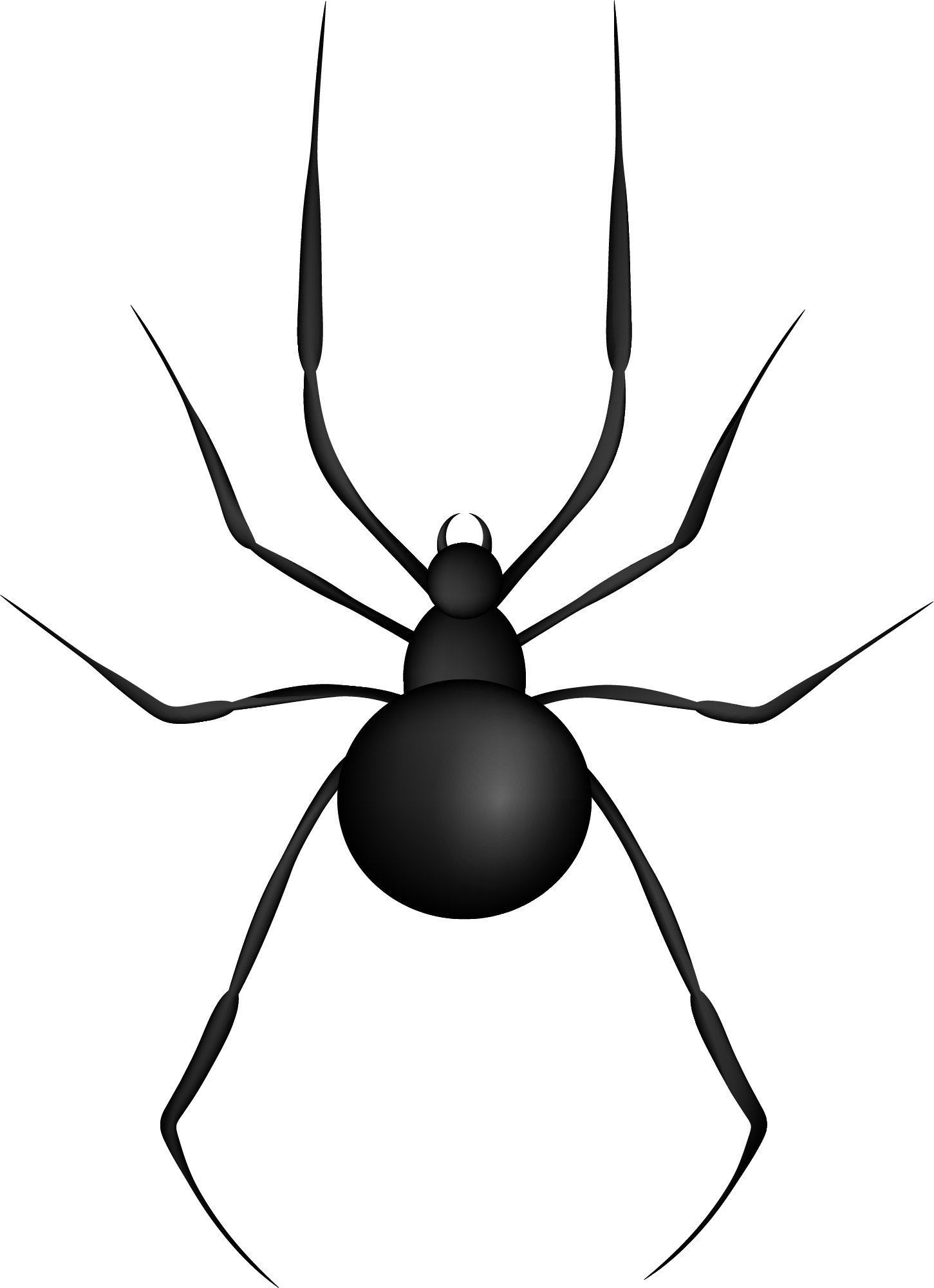 Preview for Black-widow-spider-image-spiders-sticker-f75b7