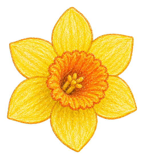 Preview for Pastel Daffodil Sticker