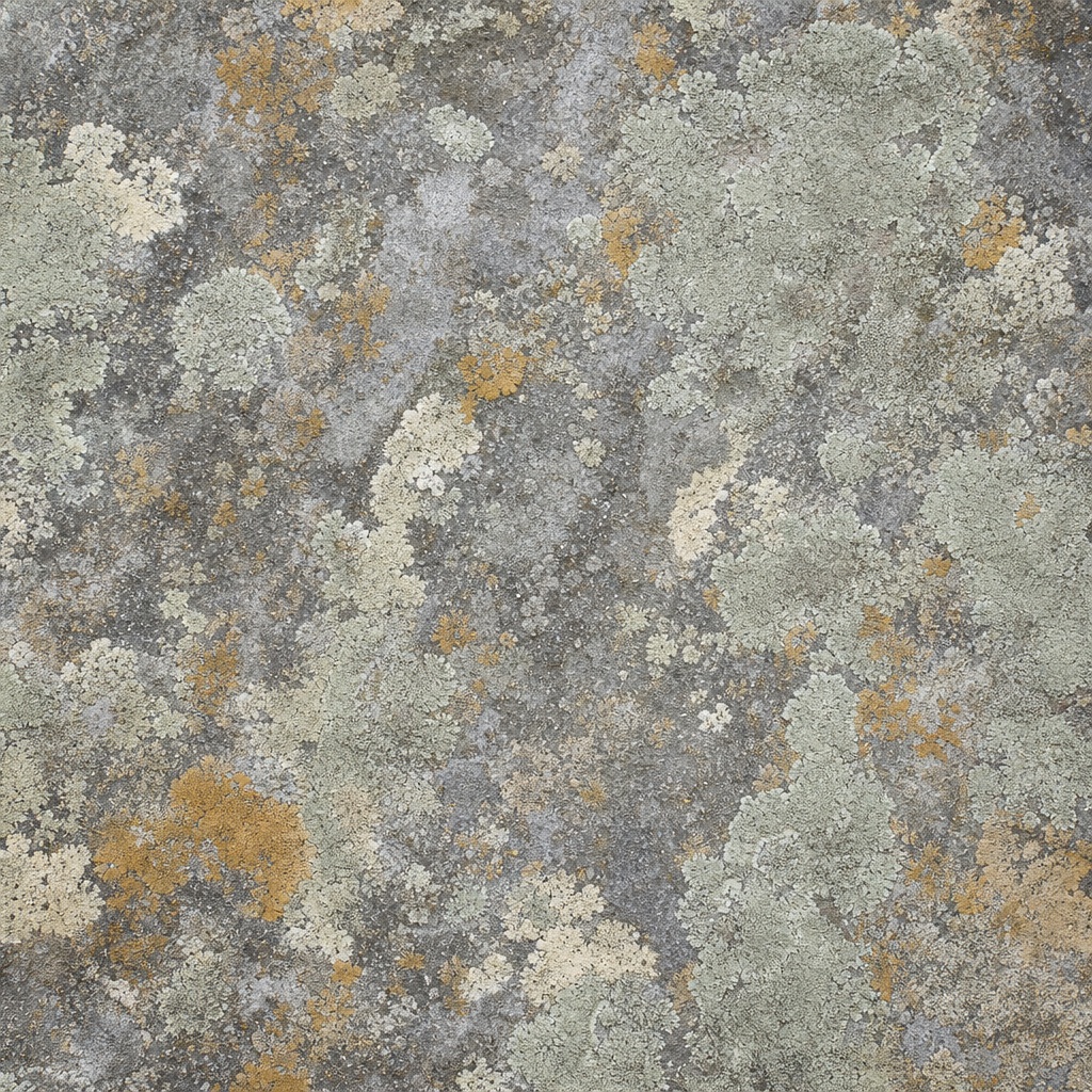 Abstract lichen-like texture with gray, beige, and muted orange patches on a stone surface