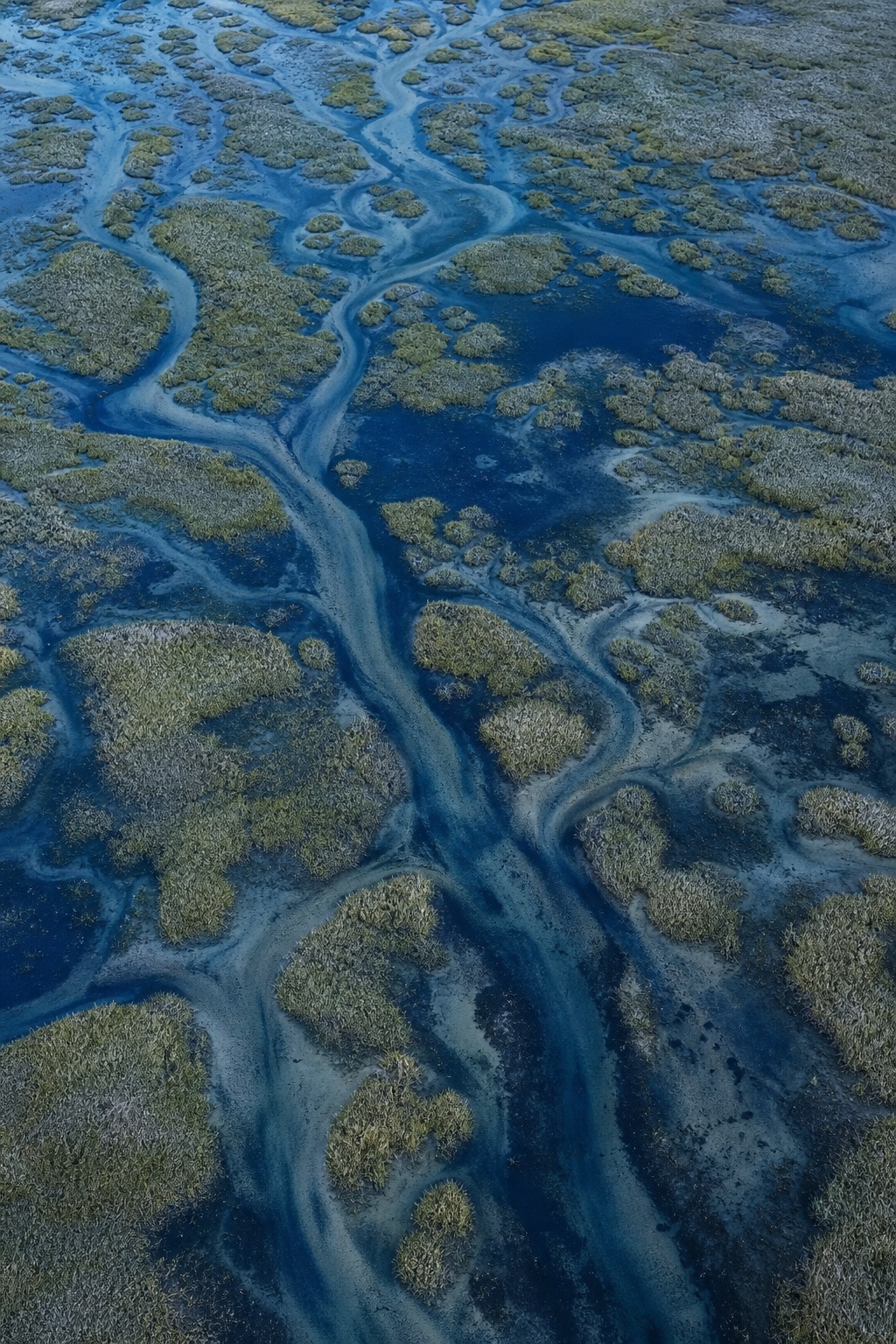 Aerial view of blue water channels winding through tidal grass islands at dusk