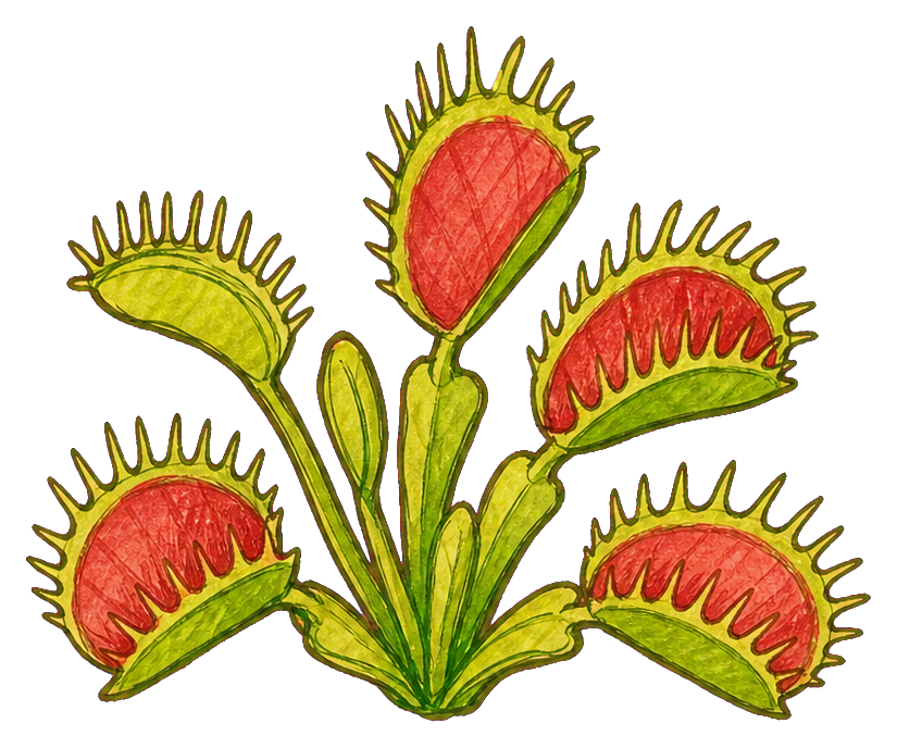 Preview for Venus Flytrap Sticker