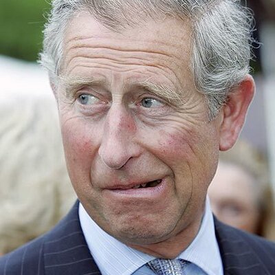 Close-up portrait of Prince Charles looking to the side in a formal suit.