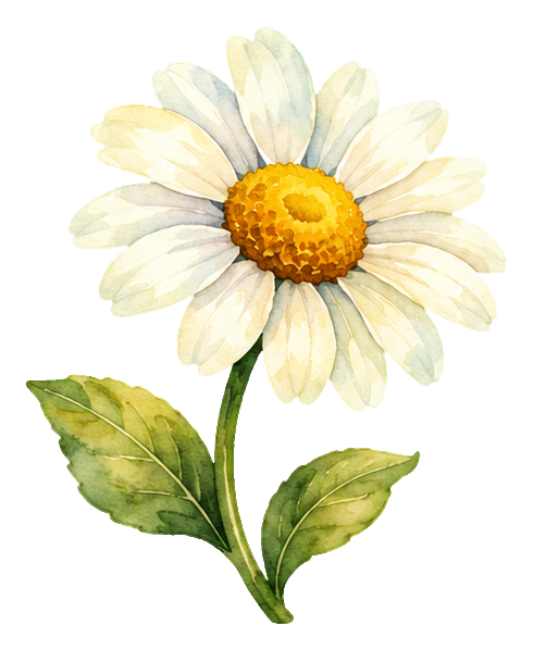 Preview for Watercolor Wildflowers Daisy