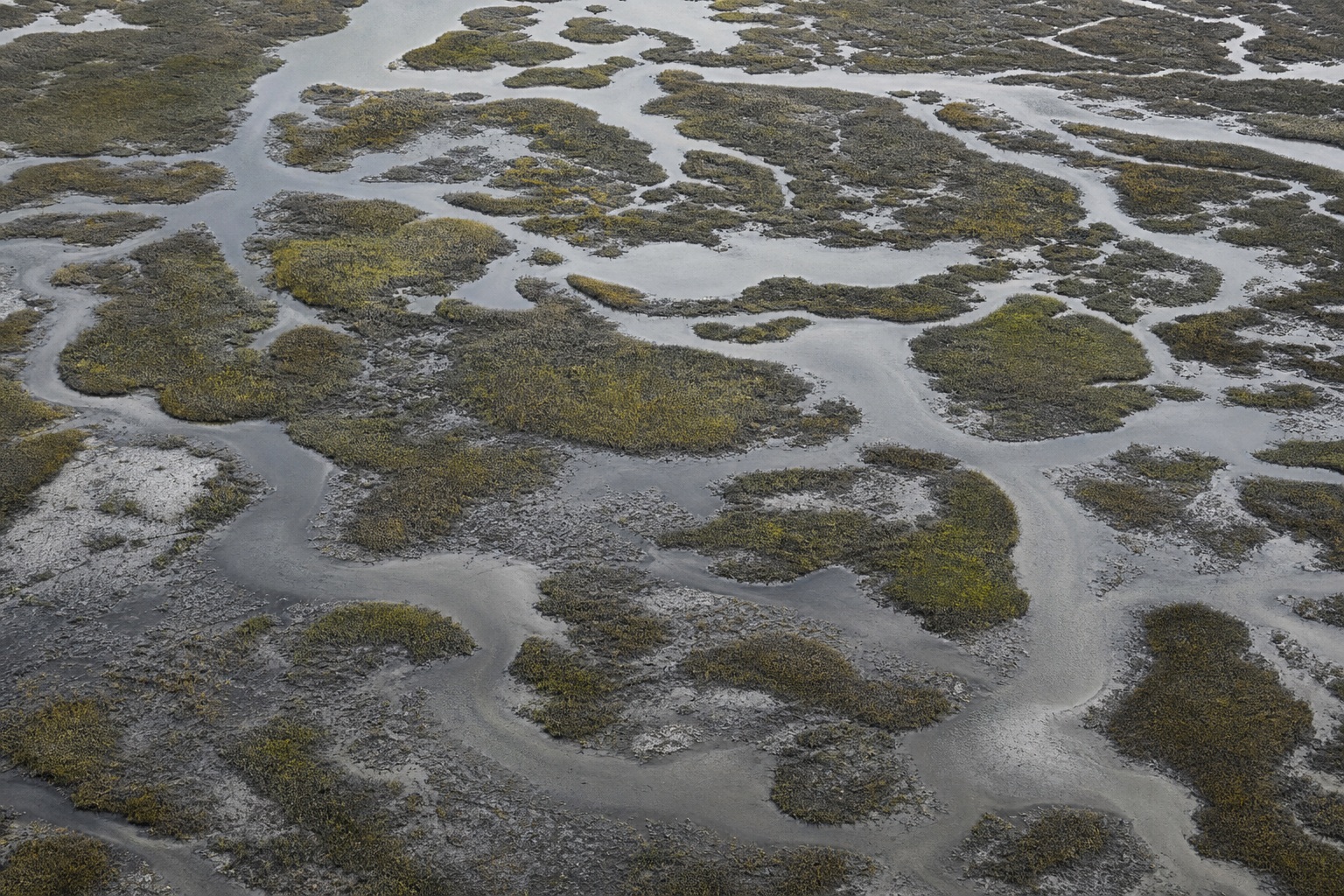 Overcast aerial river delta with winding water channels and mosaic marsh pools.