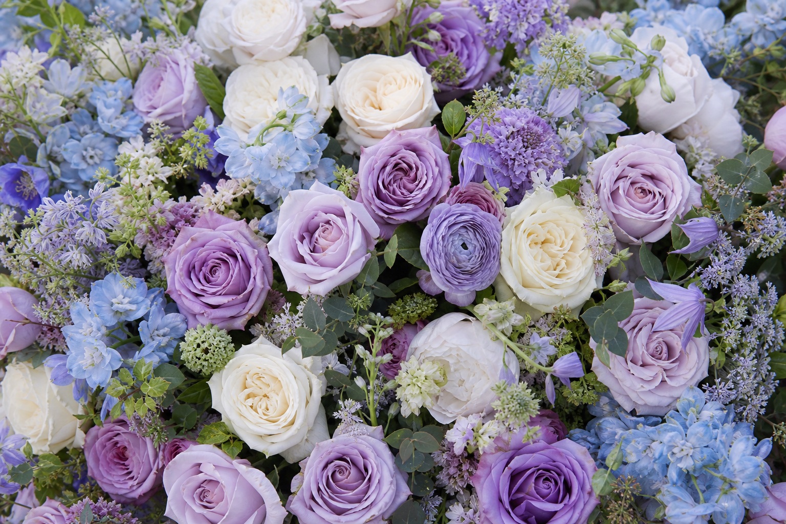 Preview for Lavender Blue Garden Rose Background