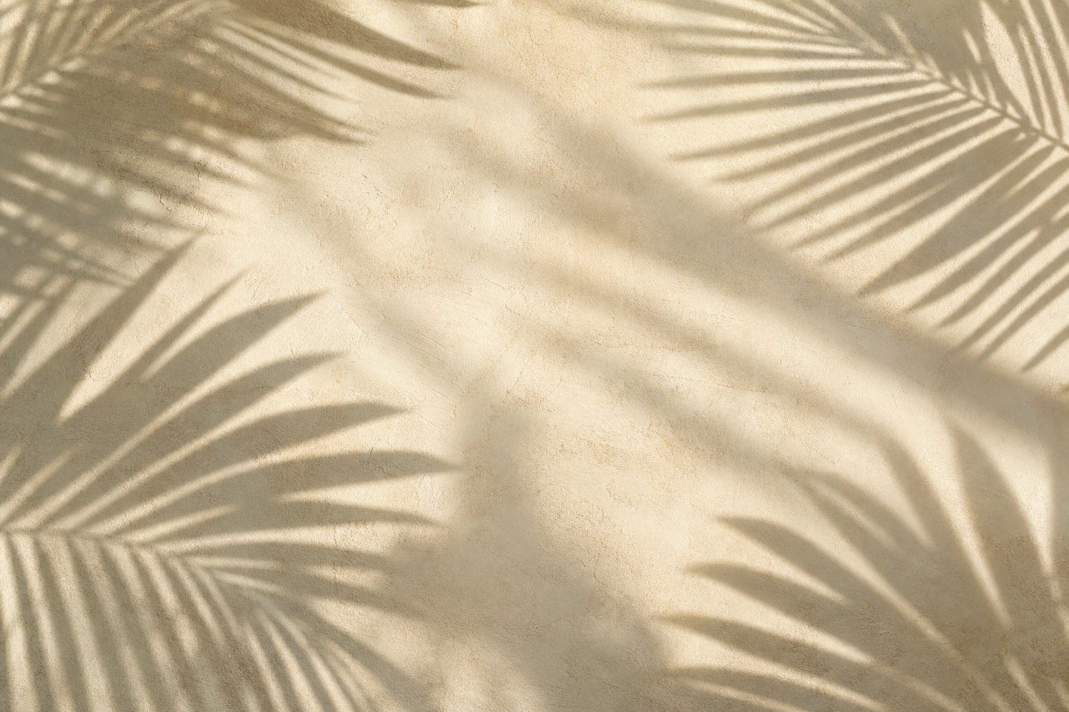 Preview for Warm Ivory Palm Shadow Background
