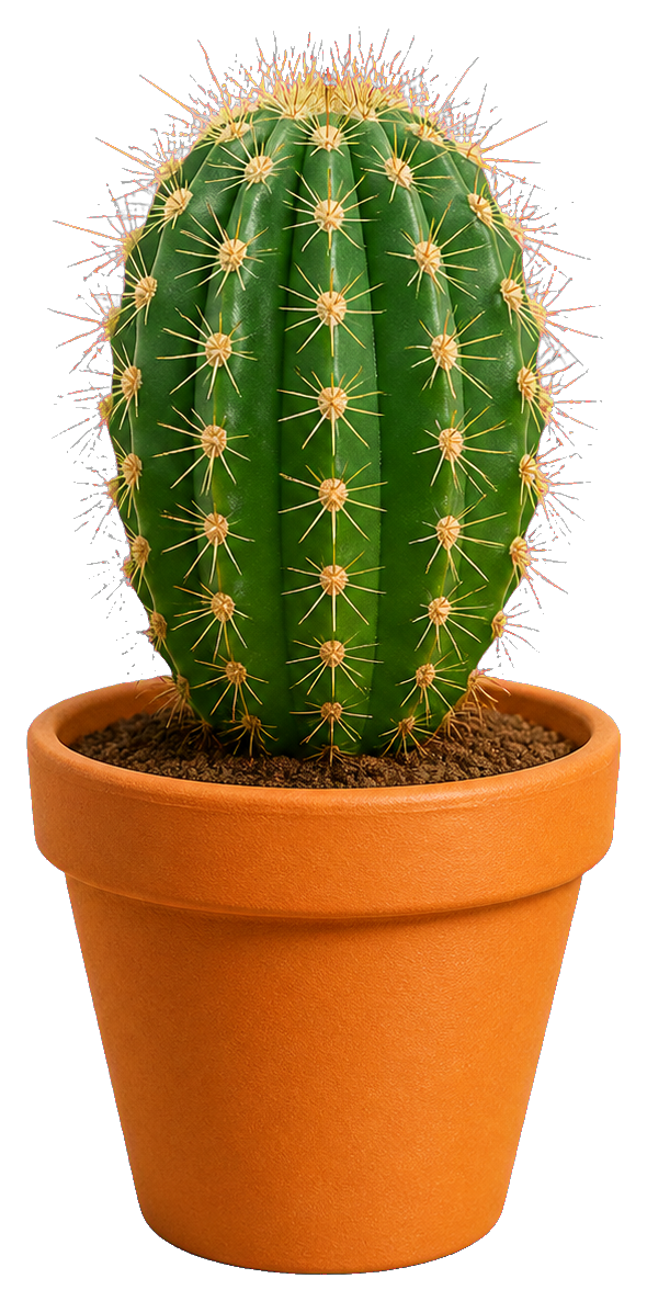 Preview for Potted Cactus Sticker Graphic