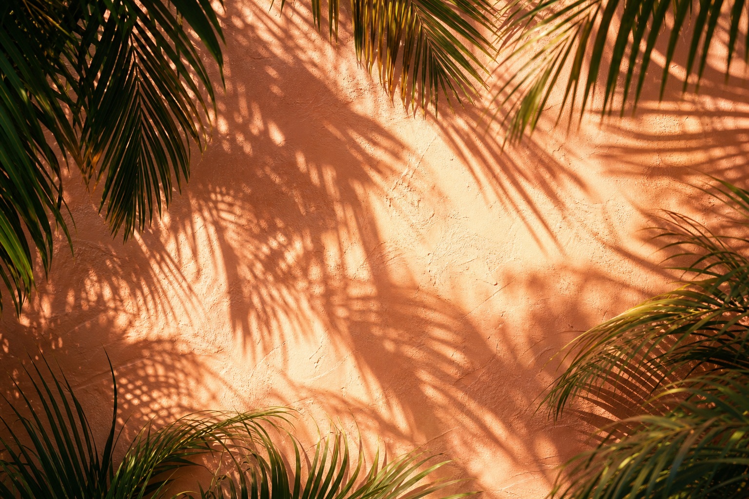 Peach stucco wall covered in dense tropical palm leaf shadows.