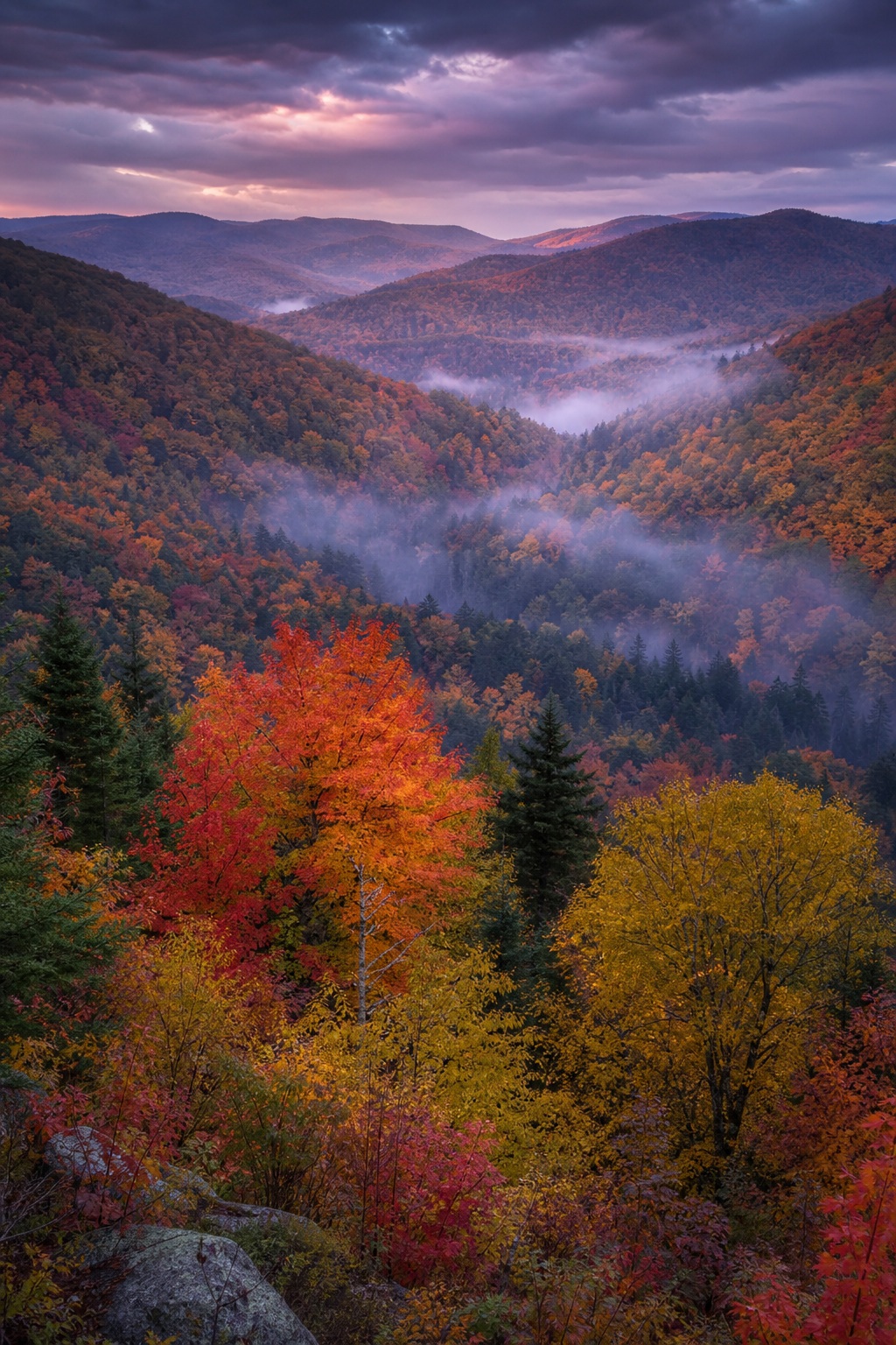 Mountain valley with colorful fall foliage under cool twilight and low mist