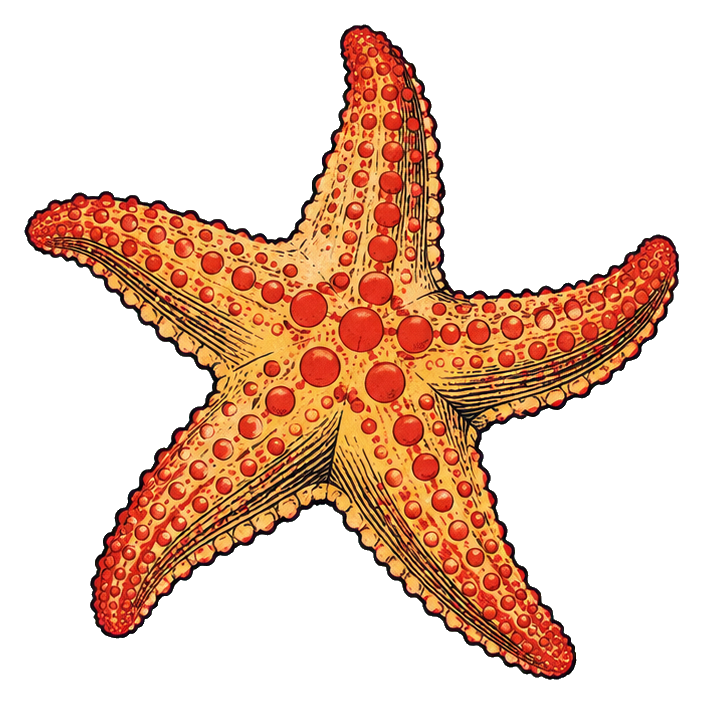 Preview for Ukiyo-e Ocean Starfish