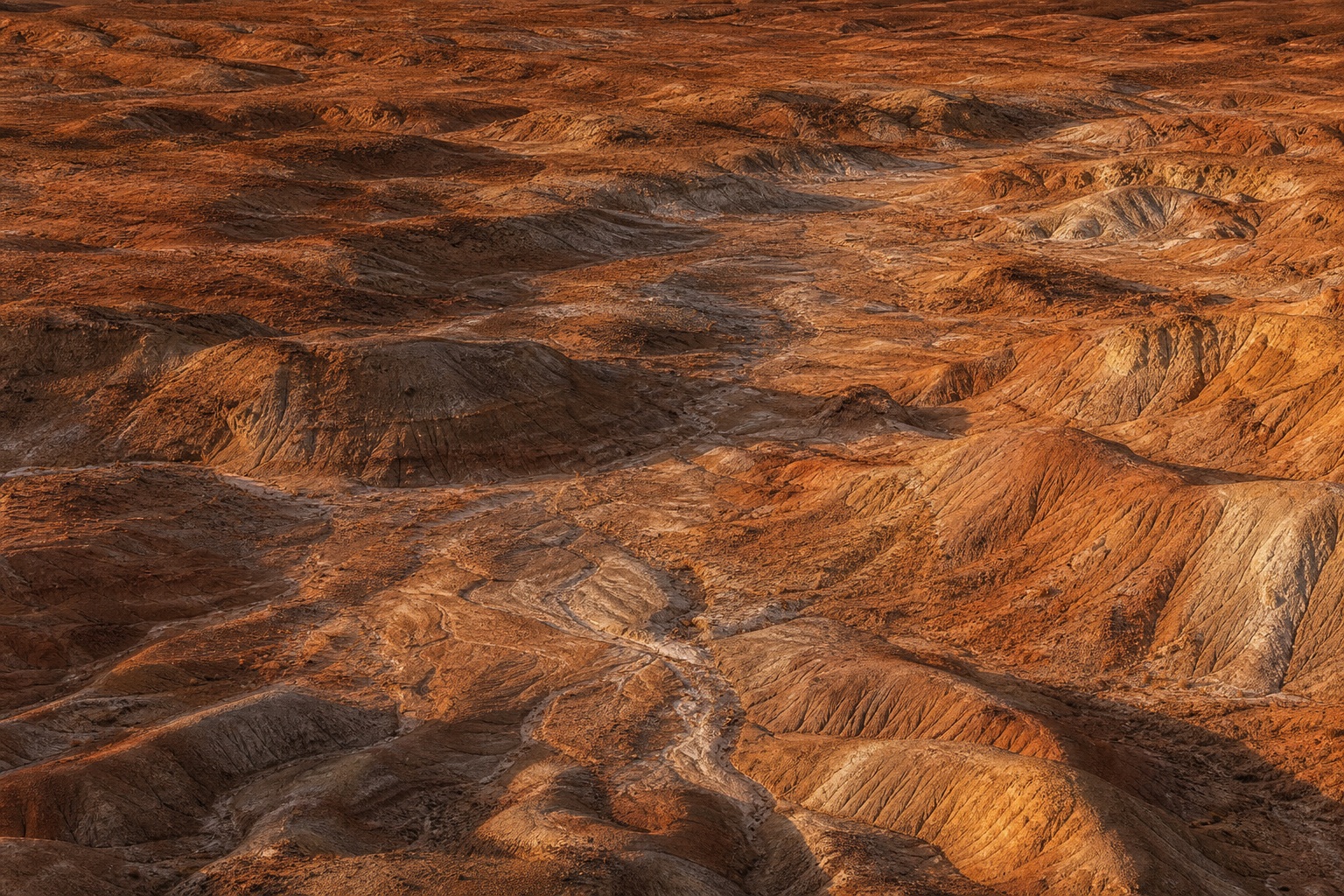 Copper-toned badlands terrain with eroded gullies and layered rocky ridges