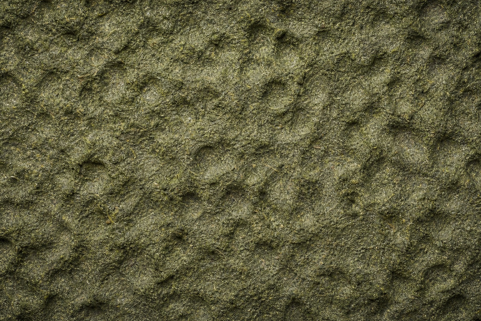 Preview for Moss Grain Molded Pulp Background