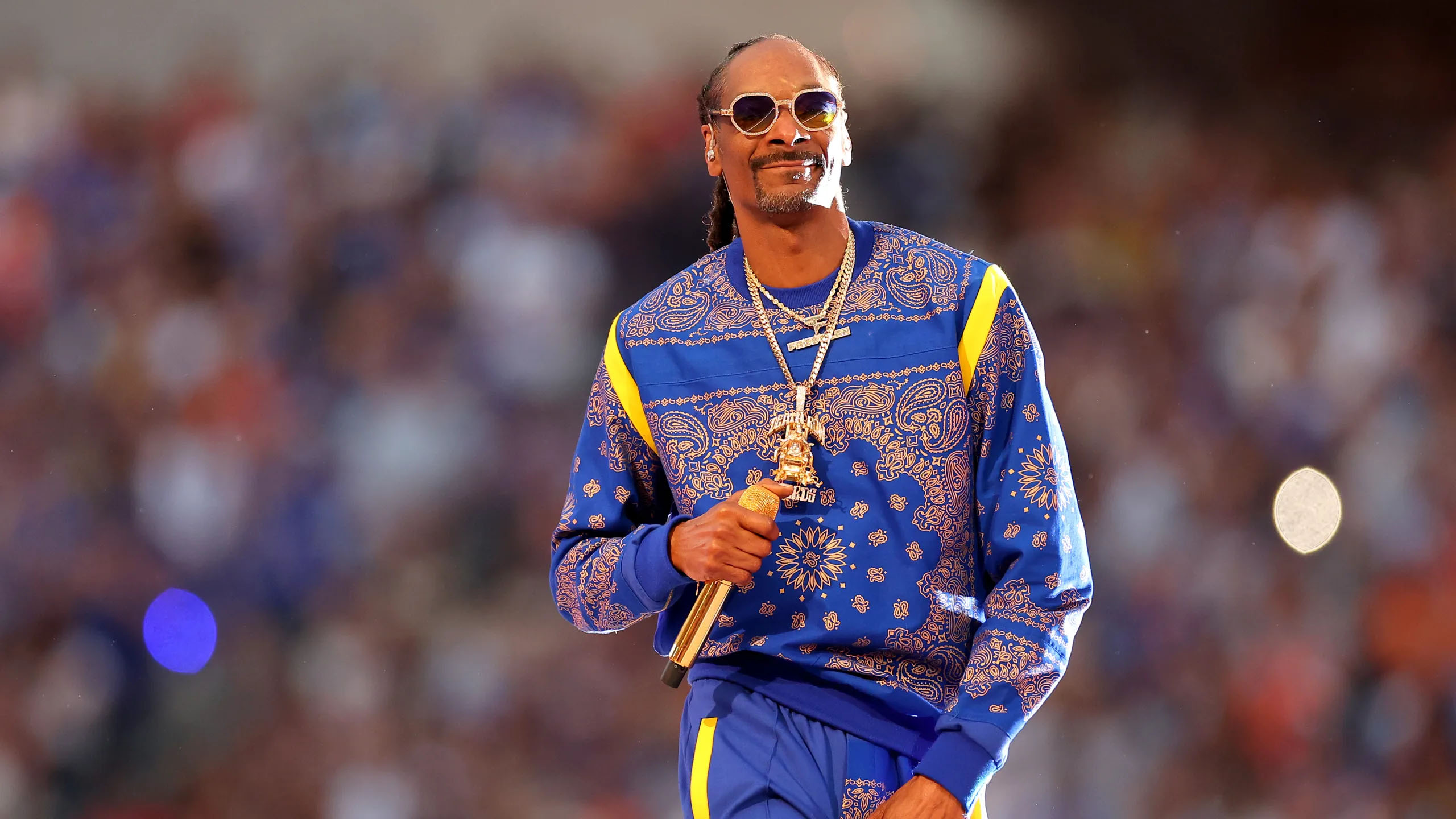 Preview for Snoop-dogg-live-performance-celebrity-meme-background-1865c