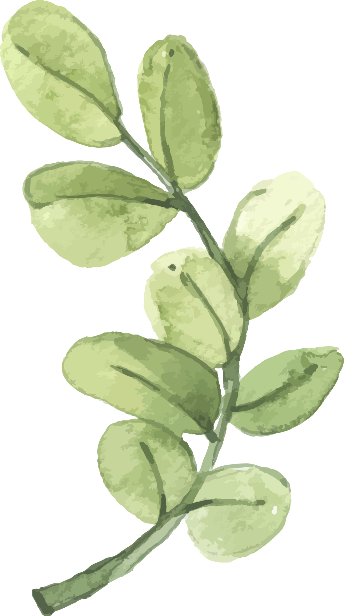 Preview for Watercolor-green-leaves-art-spring-sticker-9a674